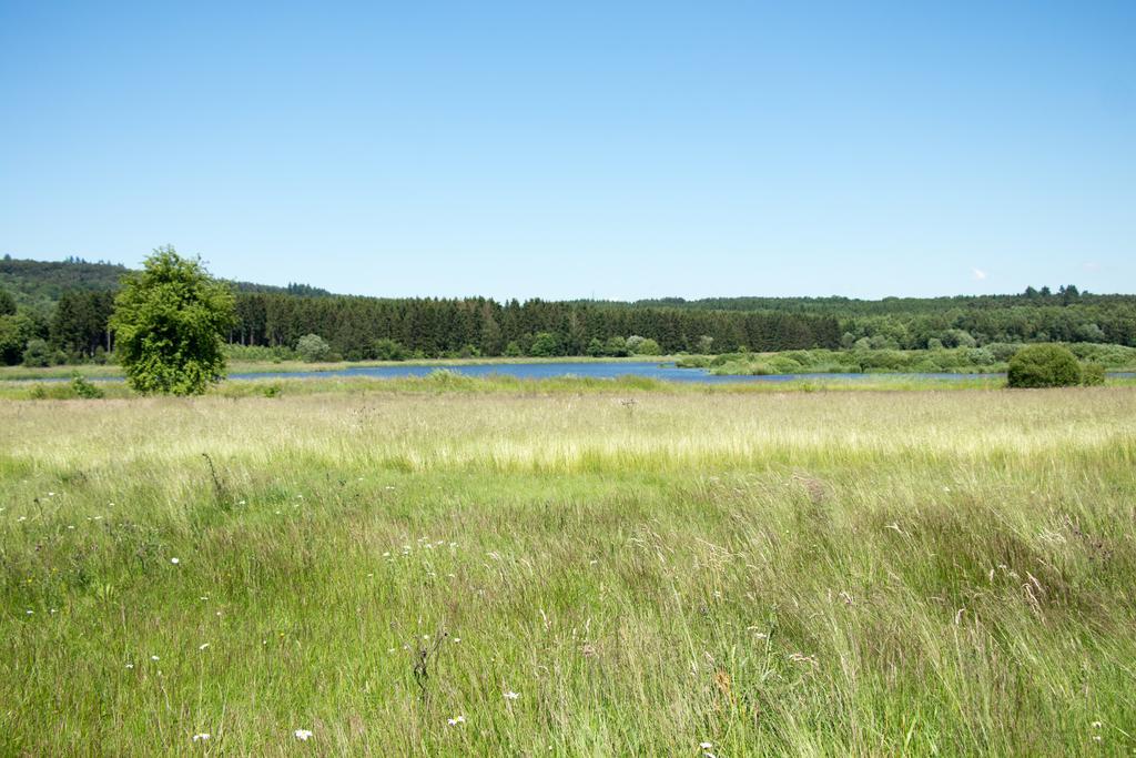 Campingplatz Jungferweiher Ulmen Esterno foto